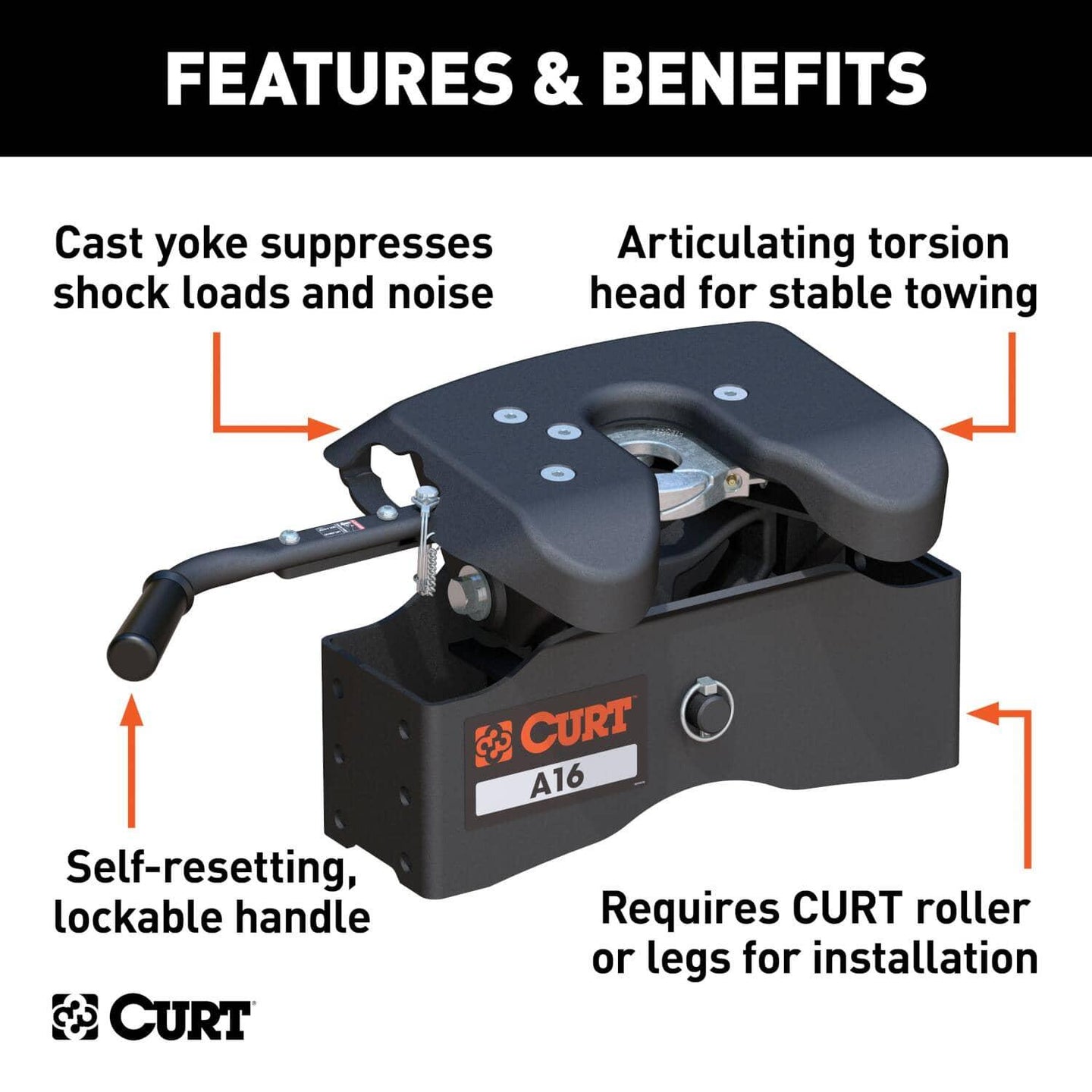CUR-16520_02.jpg