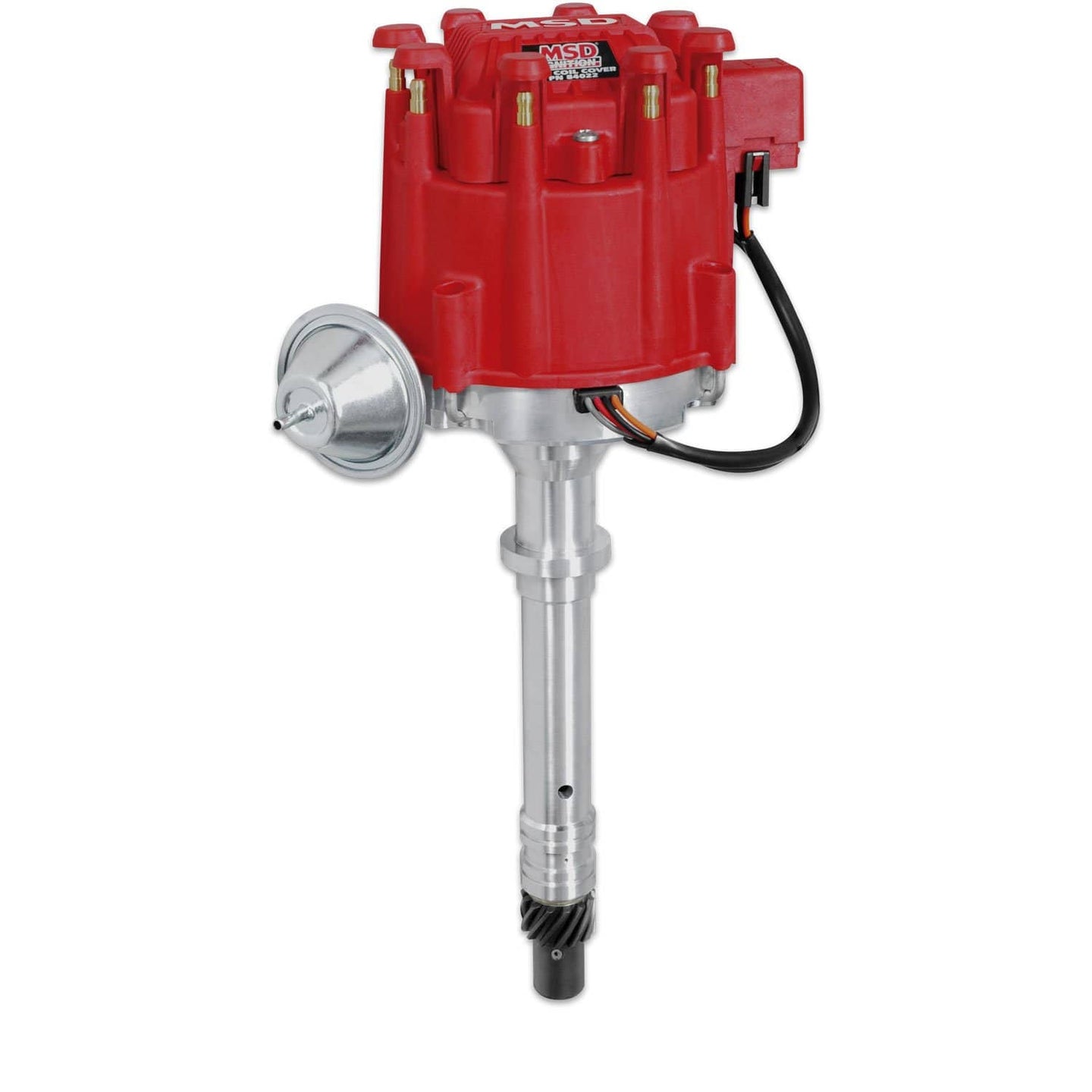 MSD-8365_01.jpg