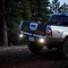 1265_Aux_Light_18.jpg