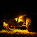 1360_Aux_Light_4.jpg