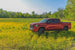 1rc_0028_2.jpg