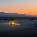 293_Aux_Light_16.jpg