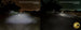 42341_Headlights_16.jpg