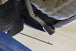 717939_9.jpg
