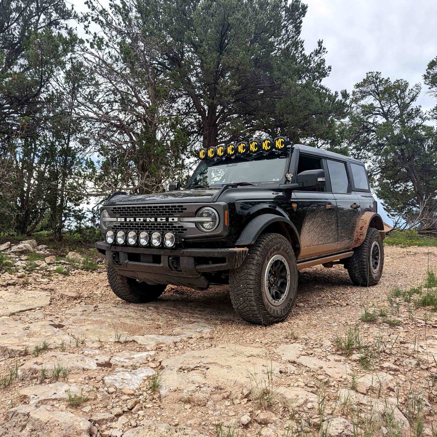 91341_Vehicle_Light_System_12.jpg