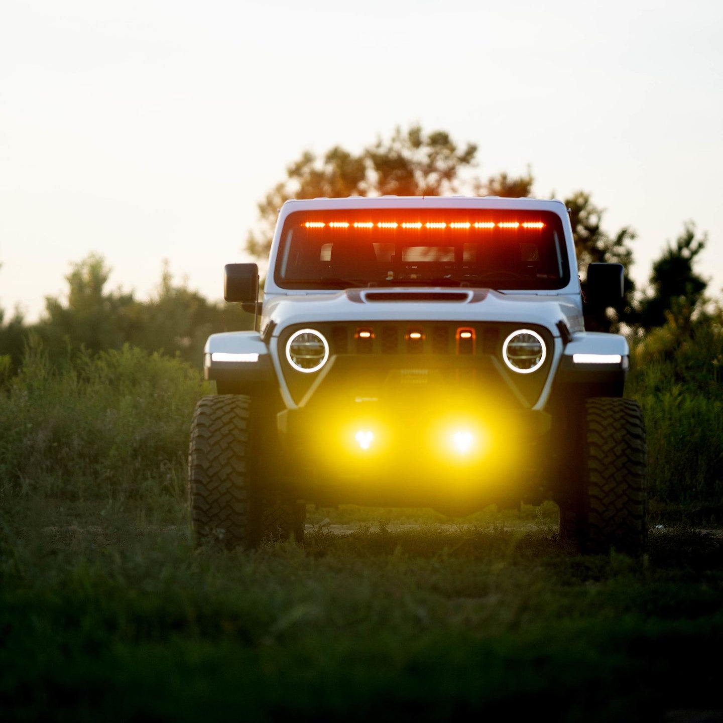 97147_Vehicle_Light_System_15.jpg