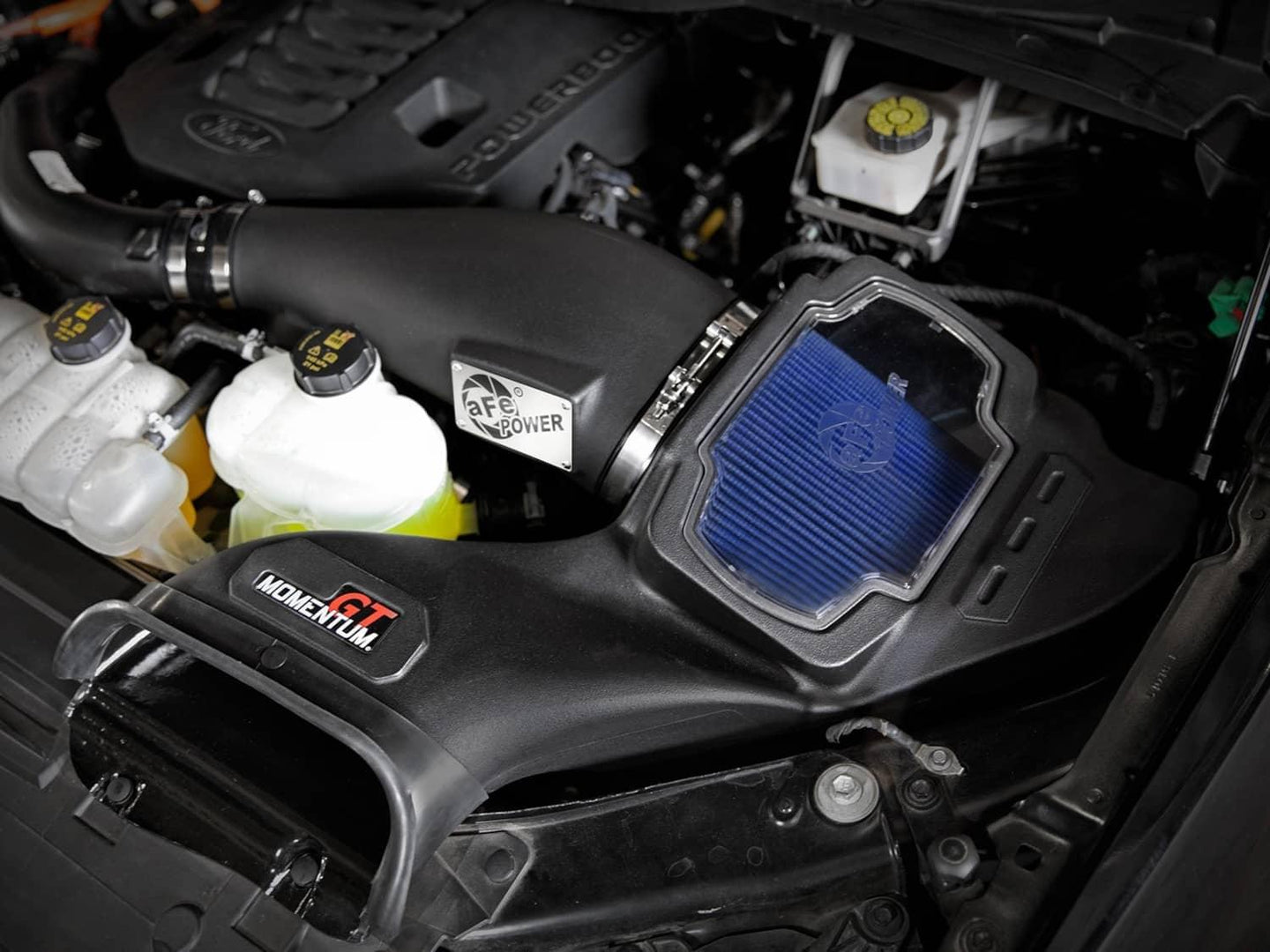 AFE-50-70099R_03.jpg