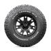 BAJA-LEGEND-MTZ-RWL-SIDEWALL.png