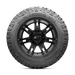 BAJA-LEGEND-MTZ-SIDEWALL.png