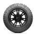BAJA-LEGEND-MTZ-SIDEWALL.png