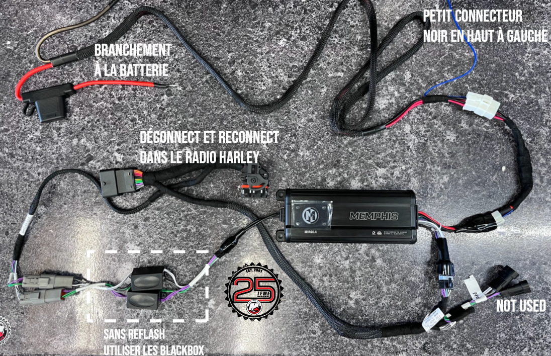 harley memphis hertz mchip how to