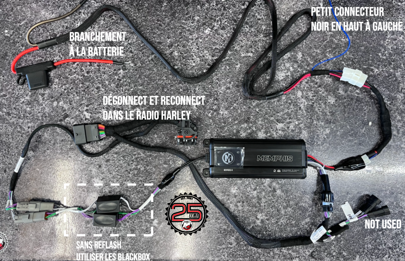 harley memphis hertz mchip how to