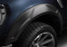 BWRBushwacker_DRT_FenderFlares_BlueF150_FCU_20972-02.jpg