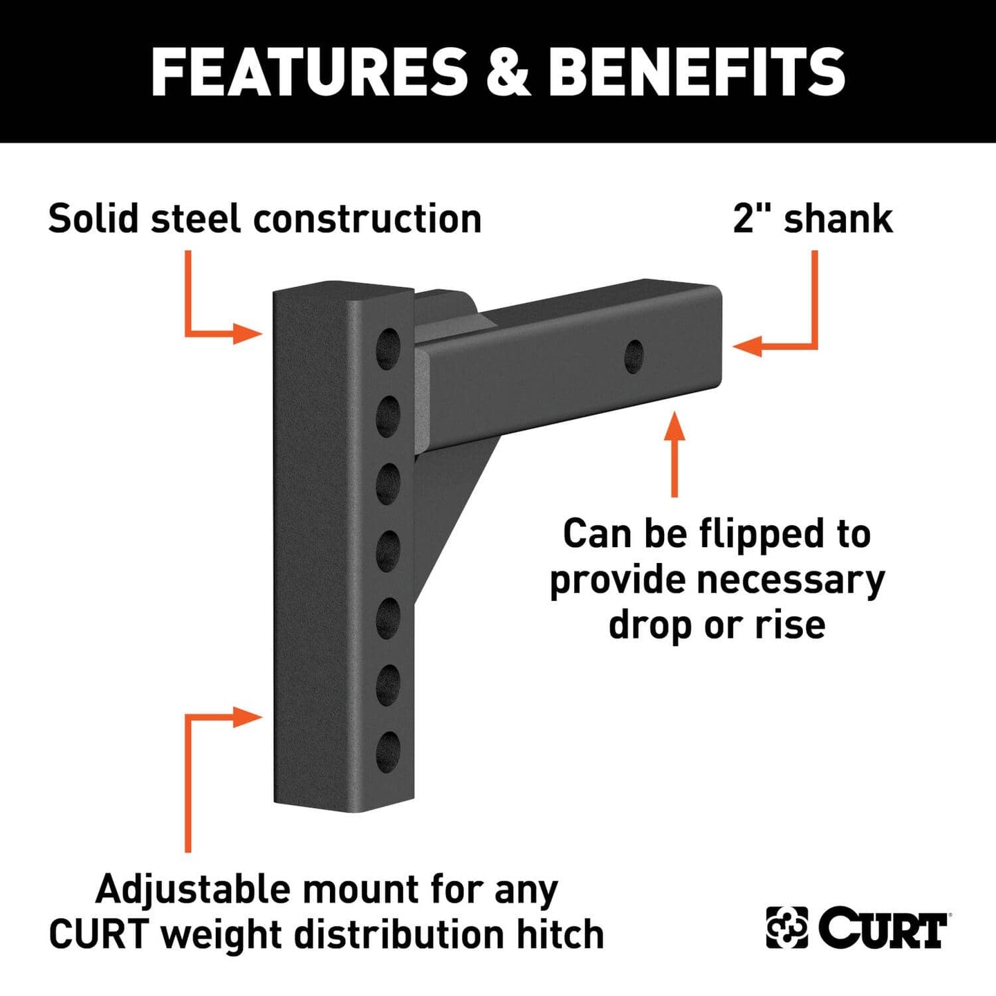 CUR-17100_02.jpg