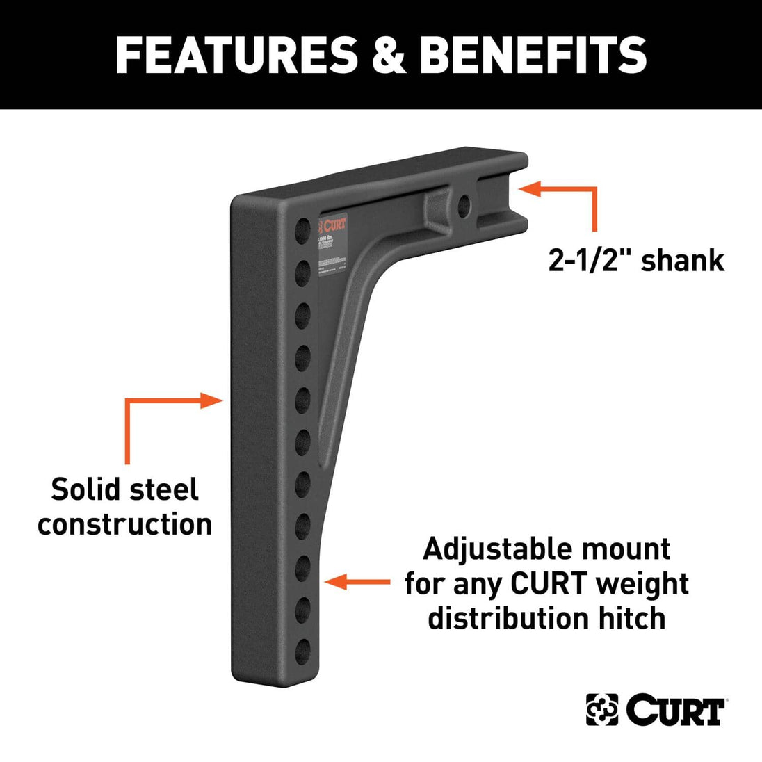 CUR-17132_02.jpg