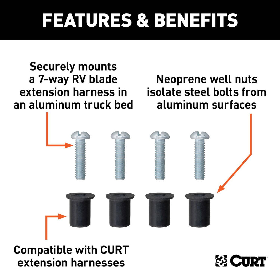 CUR-57007_02.jpg