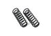 Coil_Springs.jpg