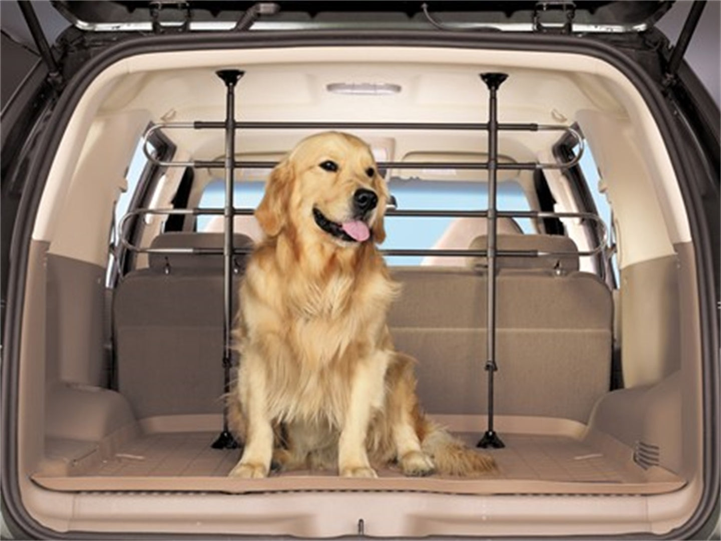 Pet_Barrier_w_Dog.jpg