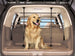 Pet_Barrier_w_Dog.jpg
