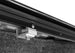 RNL_M-Series_20GMC-Sierra_Details_07Clamp.jpg