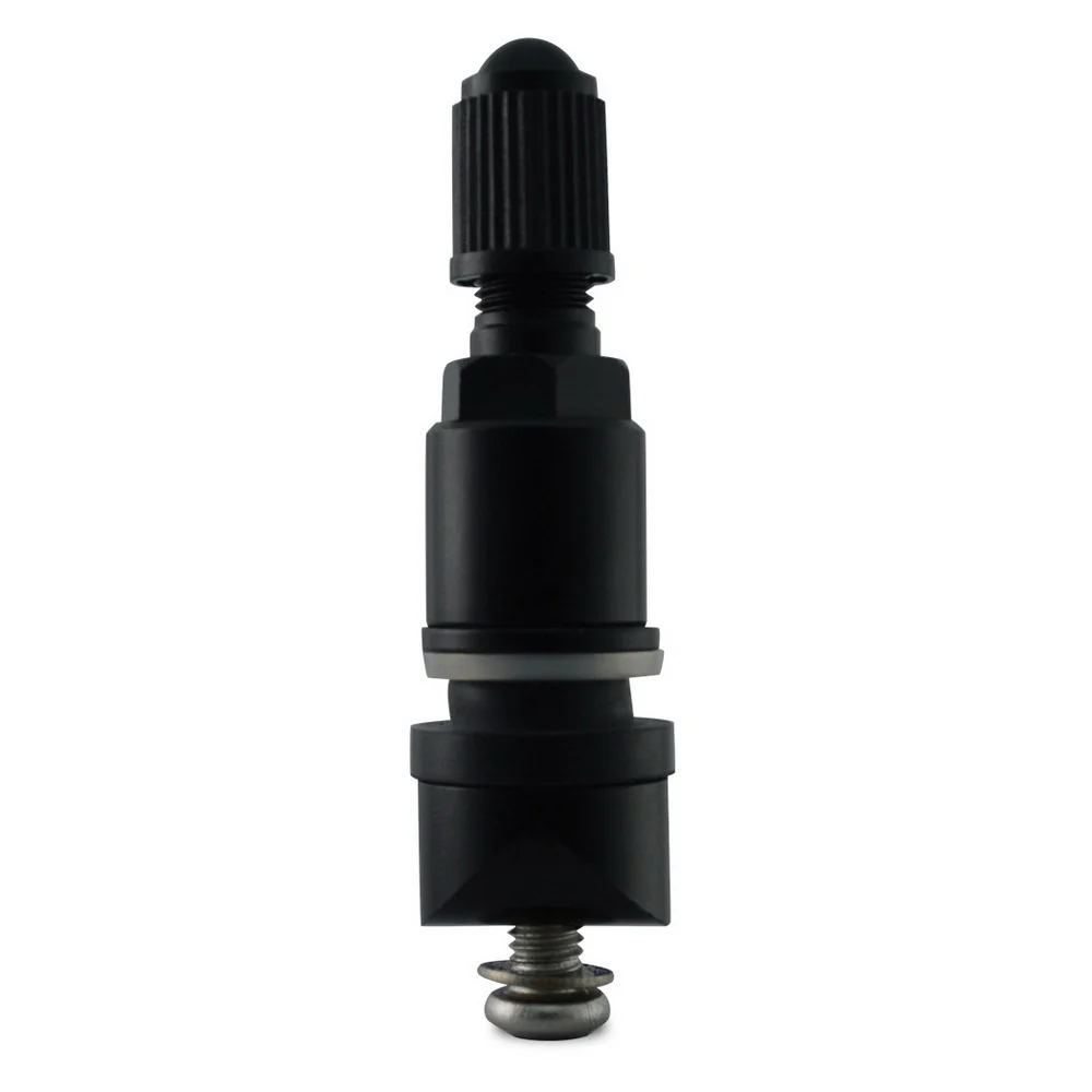 WEB_RTXTPMS-BVALVE_master_2024-04-16.png