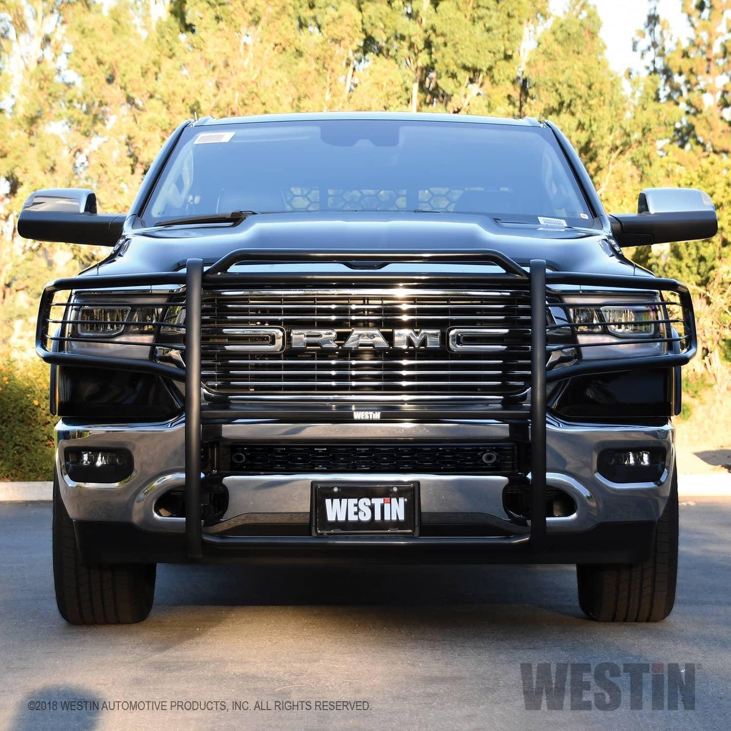 WES-40-3975_03.jpg