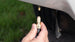 16188_v11.jpg