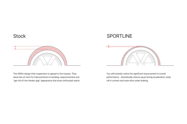 sportline-illustration.jpg